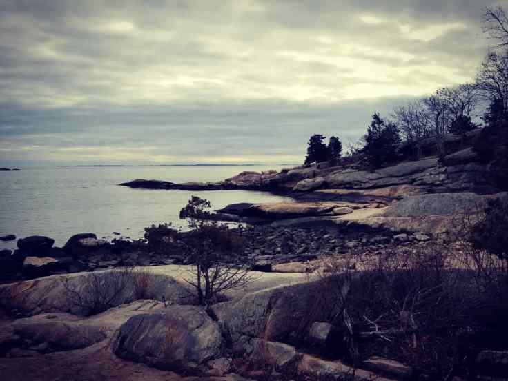 IMG_20181230_180409_673