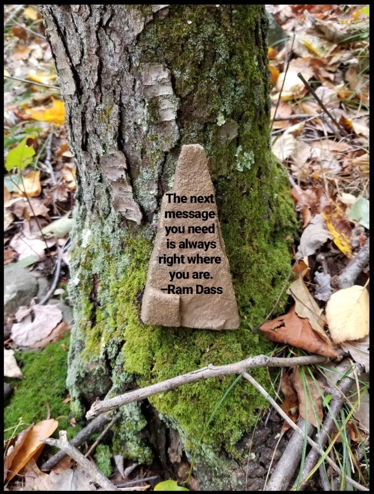 IMG_20200123_114724_309